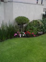 /album/fotogaleria-jardineria-y-paisajismo/images-20-jpg/